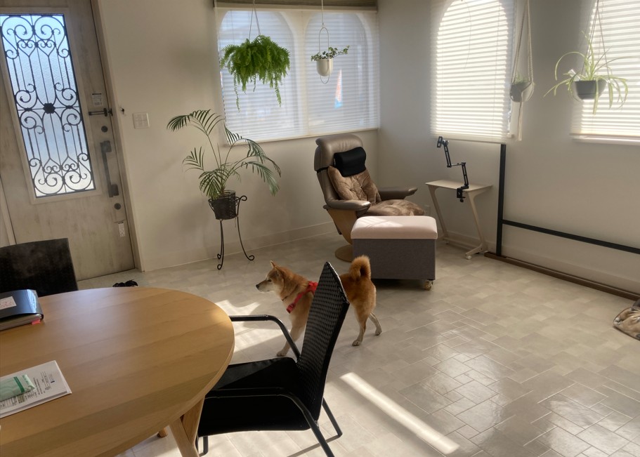 七本木オールリフォーム済み中古平屋住宅 - 画像14